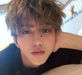 娱乐圈吃瓜白鹿蔡徐坤,白鹿与蔡徐坤的瓜田奇遇